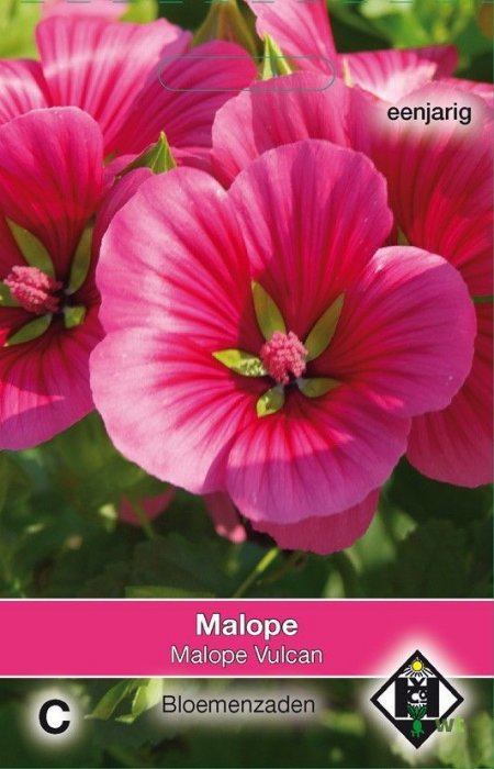 Malope