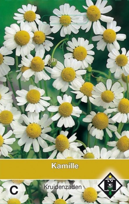 Kamille