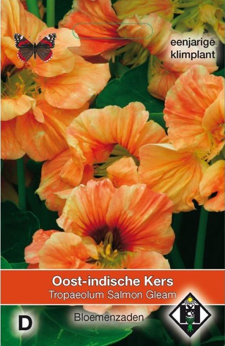 Oost-indische kers