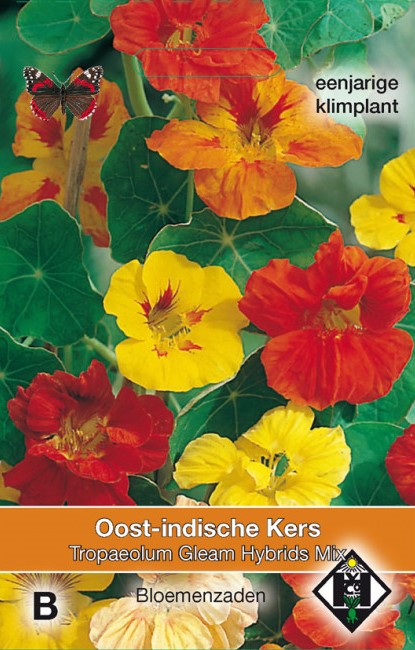 Oost-indische kers