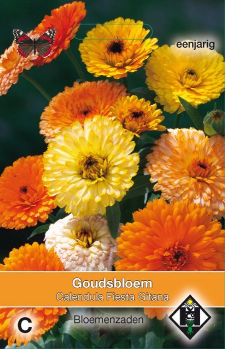 Goudsbloem