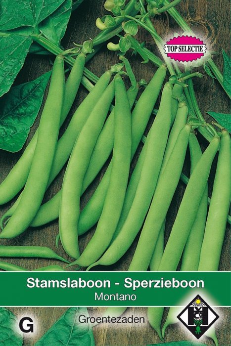 Stamslaboon/Sperzieboon
