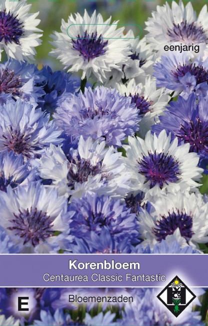 Korenbloem