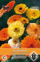 Calendula Fieta Gitana